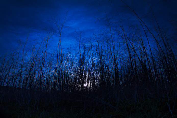 sunrise over grassy field